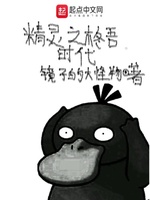 Pokemon Chi Shuugo Thời Đại Pokemon Chi Shuugo Thời Đại